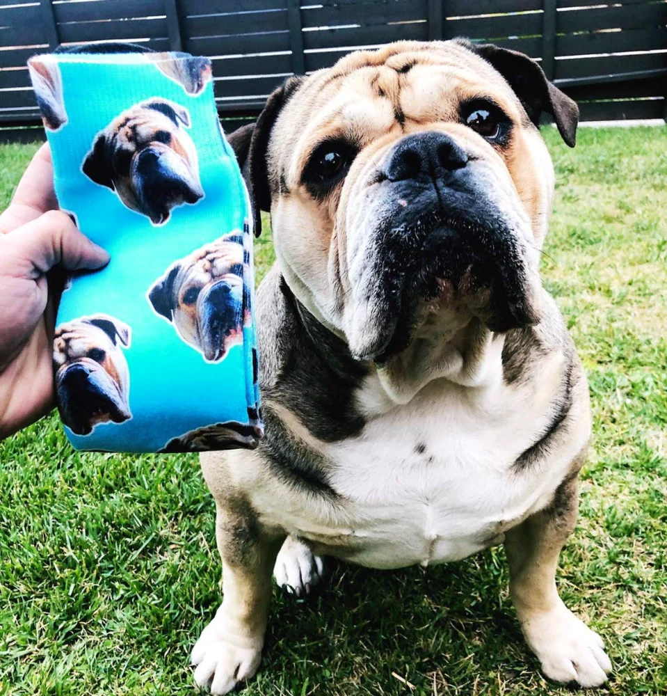 Yofair Pet photo socks, view 3